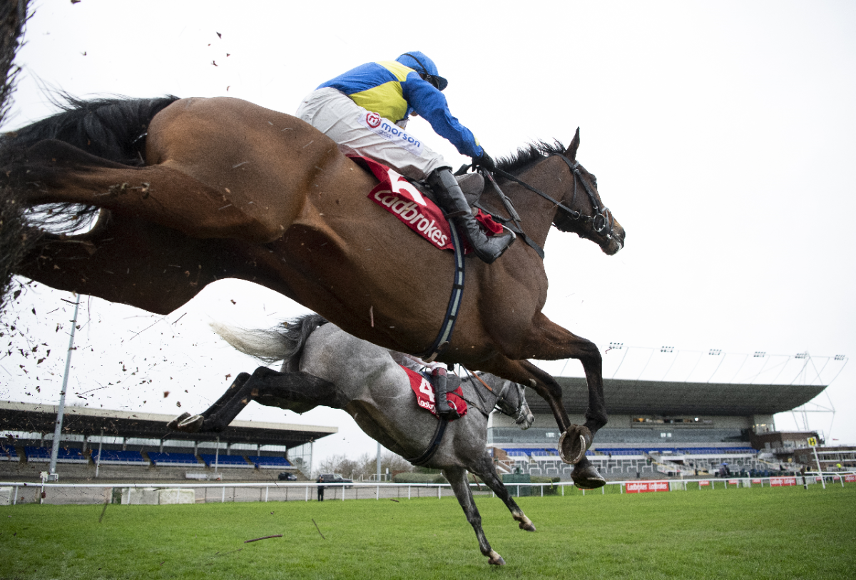Dan Skelton's Shan Blue